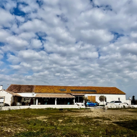 Annonces ARLES : Domaines / Propriétés | ARLES (13200) | 265.00m2 | 399 000 € 