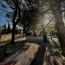  Annonces ARLES : Maison / Villa | ARLES (13200) | 300 m2 | 699 000 &euro; 