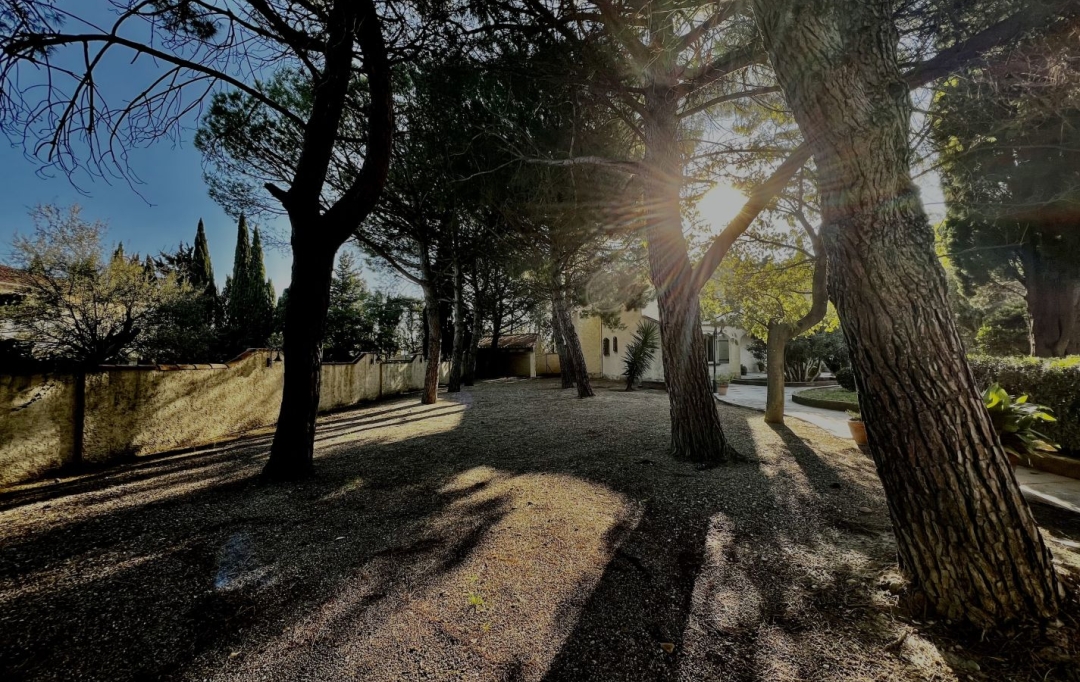 Annonces ARLES : Maison / Villa | ARLES (13200) | 300 m2 | 699 000 &euro; 