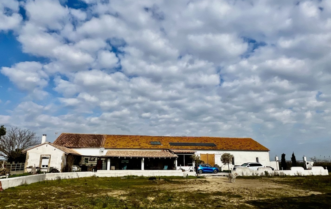 Annonces ARLES : Domaines / Propriétés | ARLES (13200) | 265 m2 | 399 000 &euro; 